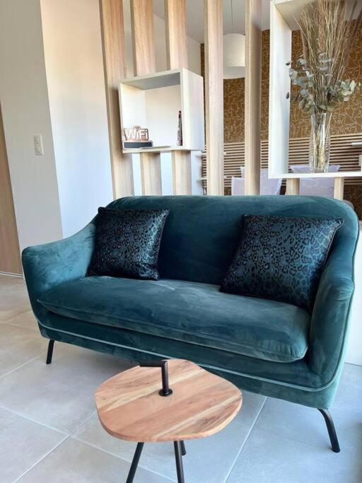 Appartement Centre De Roanne 38M2 Ngoại thất bức ảnh