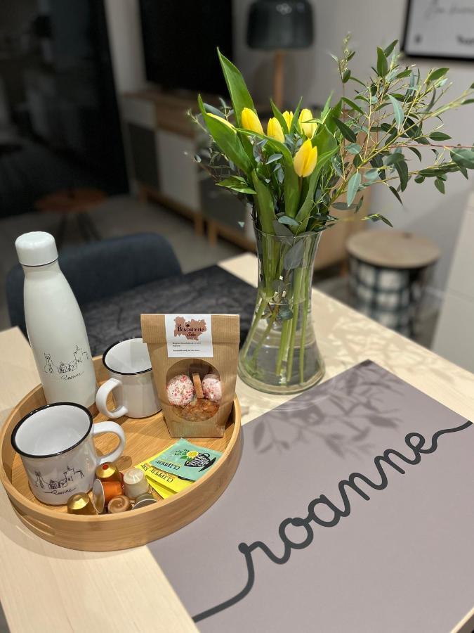 Appartement Centre De Roanne 38M2 Ngoại thất bức ảnh